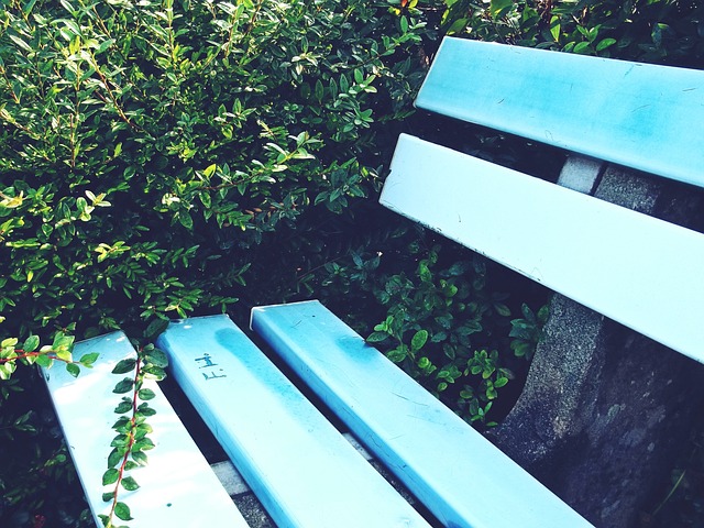 敌制胜的关 敌制胜的关