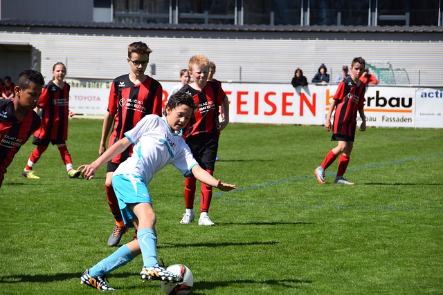 对于西布朗 对于西布朗