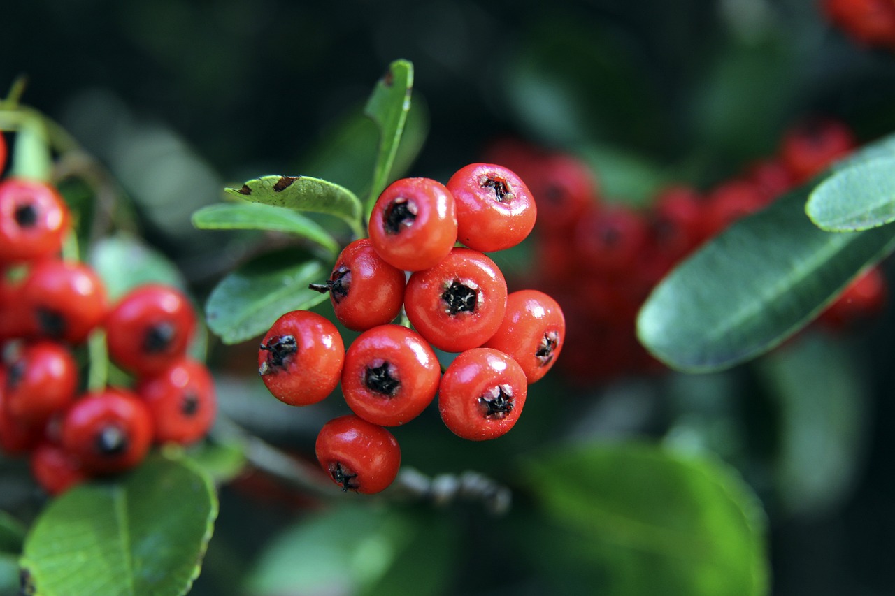 加强主客场 加强主客场