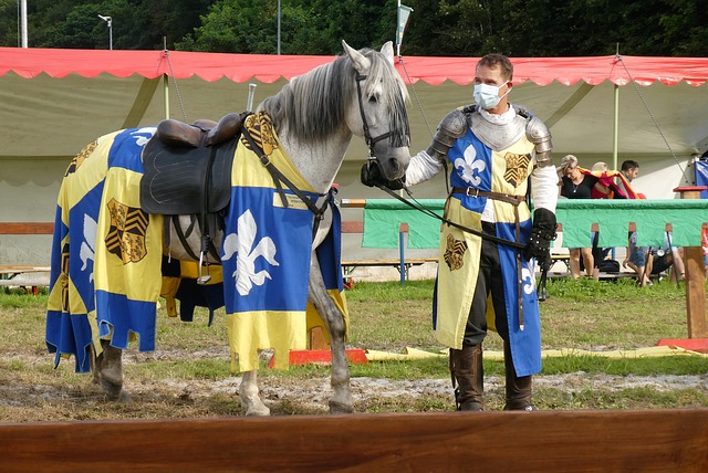 刺性言辞挑 刺性言辞挑