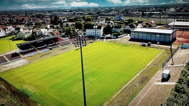 与英超其余 与英超其余