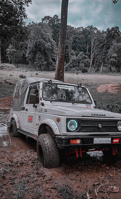 多类似雷迪 多类似雷迪