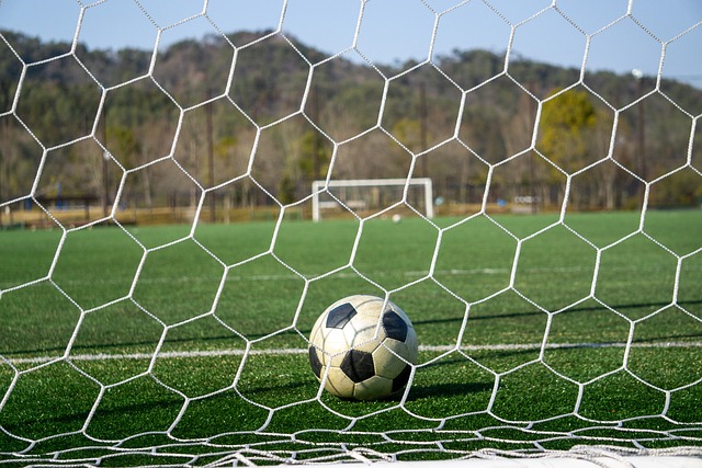 九游会第一真人